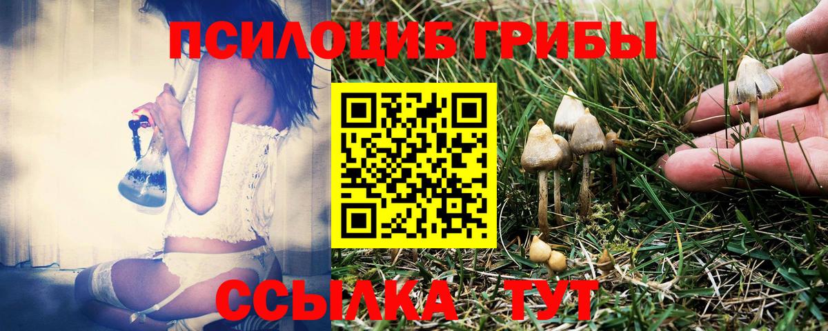 Псилоцибиновые грибы Magic Shrooms Каменск-Уральский