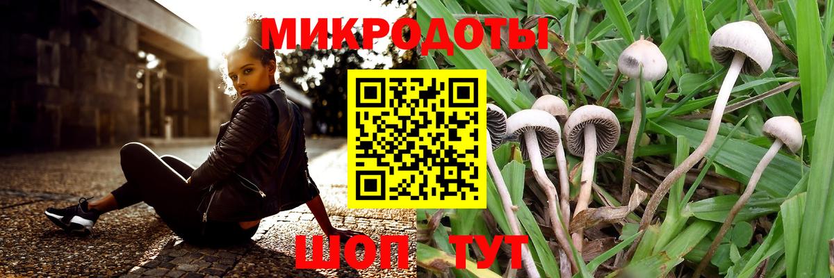 Псилоцибиновые грибы MAGIC MUSHROOMS  Вход с VPN  Каменск-Уральский  наркотики  Псилоцибиновые грибы MAGIC MUSHROOMS 